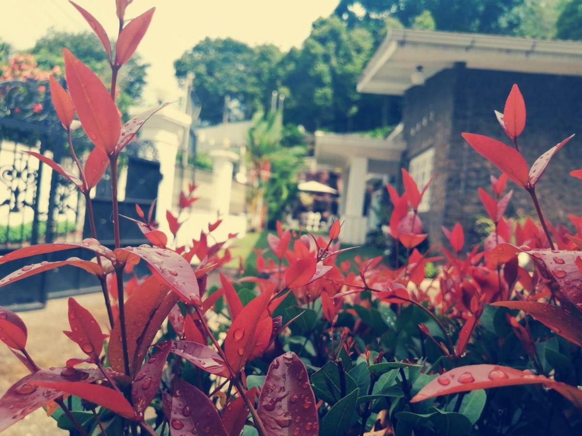Anna Shanthi Villa Kandy Exterior foto